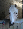 pp6500a73c.png